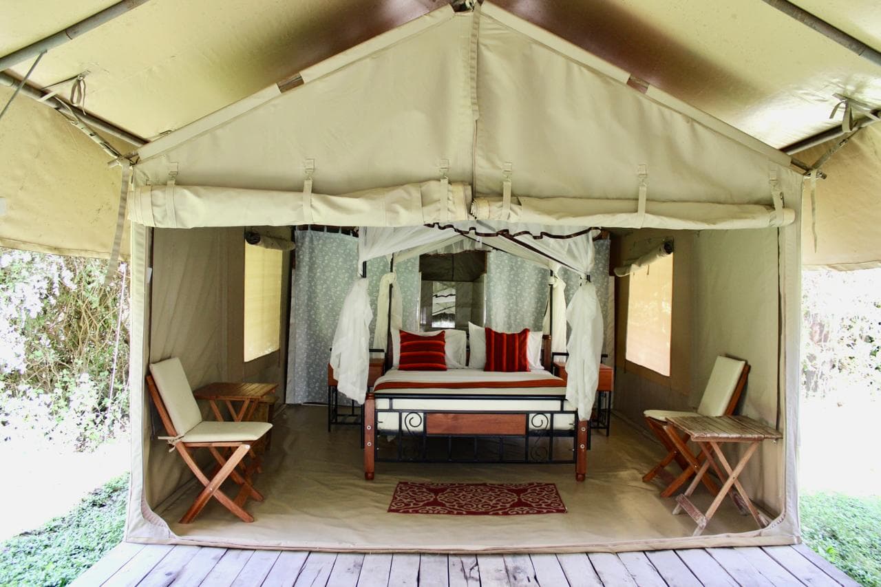 4-Day Masai Mara Group Joining Safari gallery 4