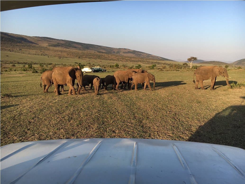 5-Day Nakuru, Naivasha & Masai Mara Safari gallery 2