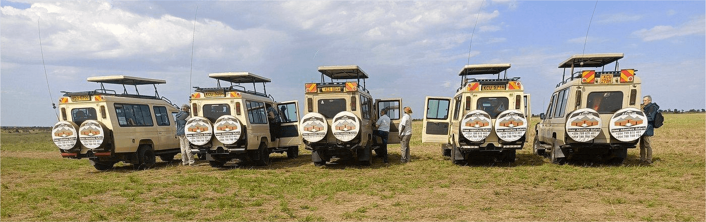 Wildebeest migration in Serengeti, Tanzania