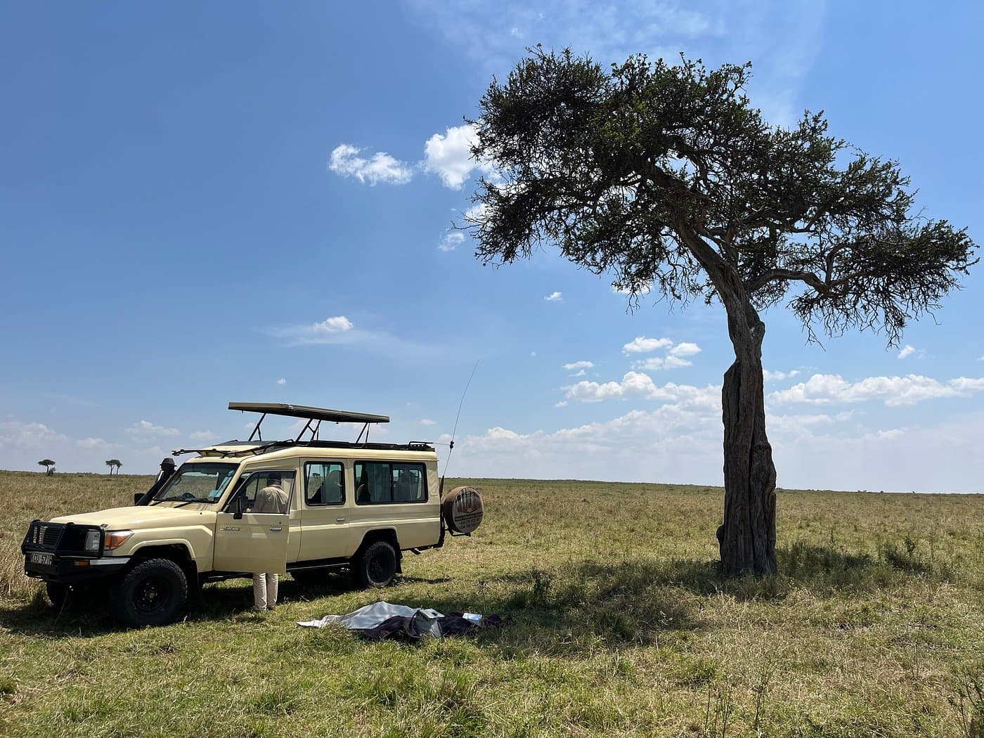 7-Day Luxury Masai Mara & Amboseli Experience gallery 3