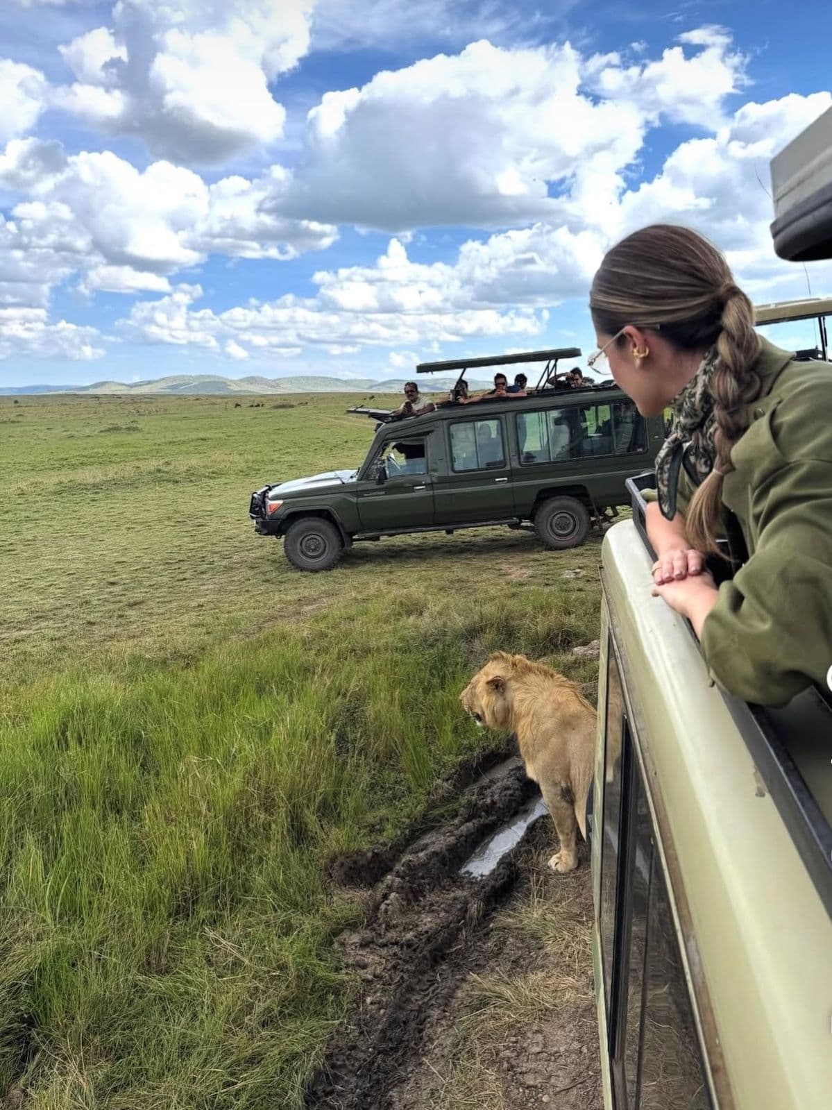 Safari 4x4 Land Cruiser on game drive in the African savanna
