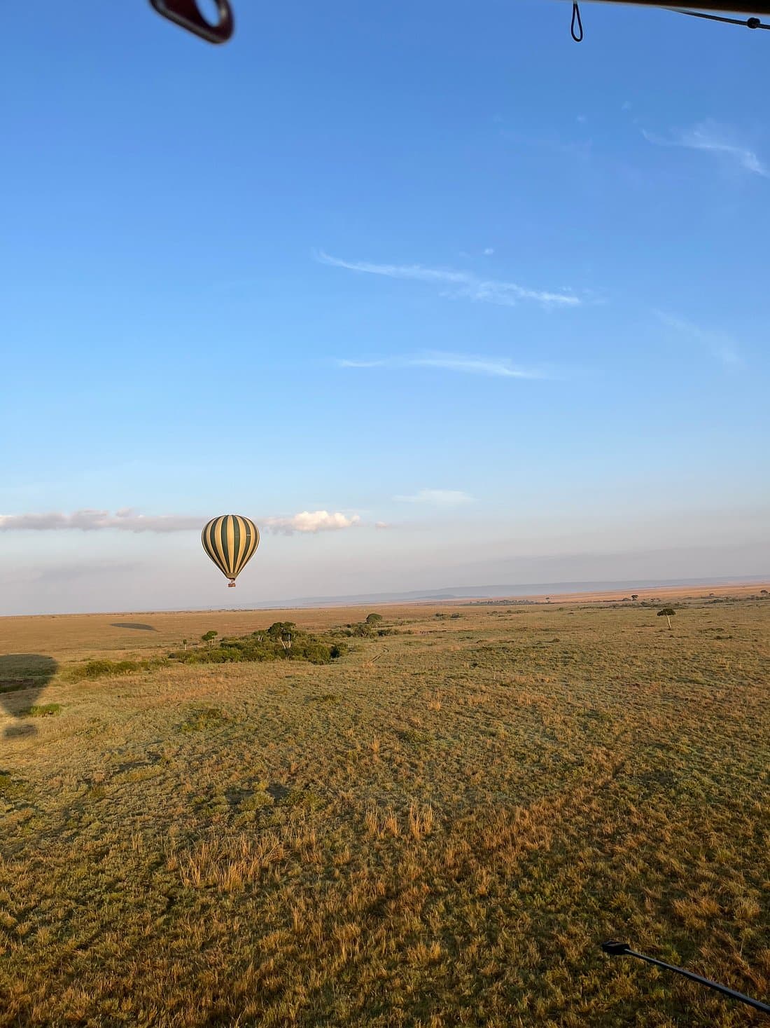 3-Day Masai Mara Safari - image 1