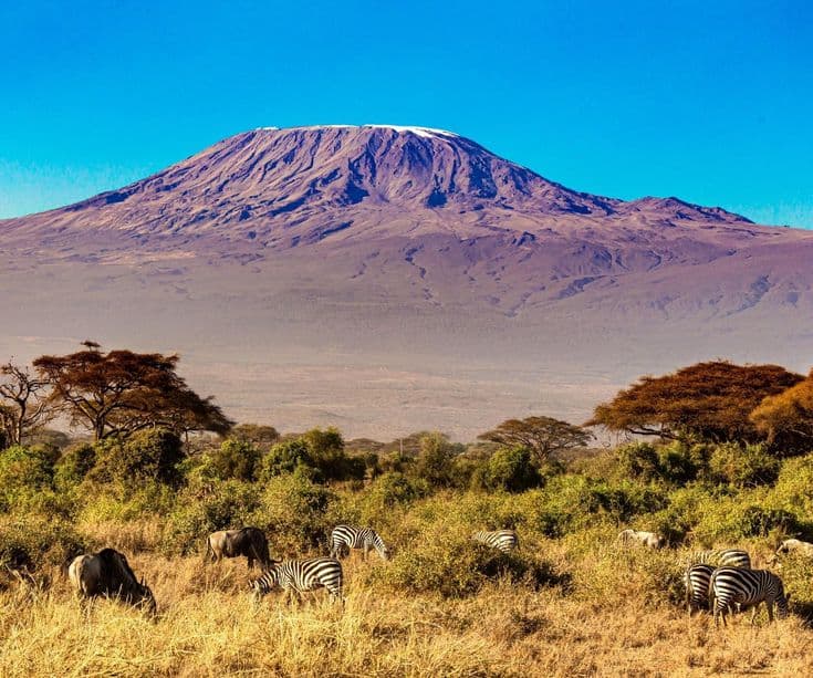 Tanzania landscape with passport